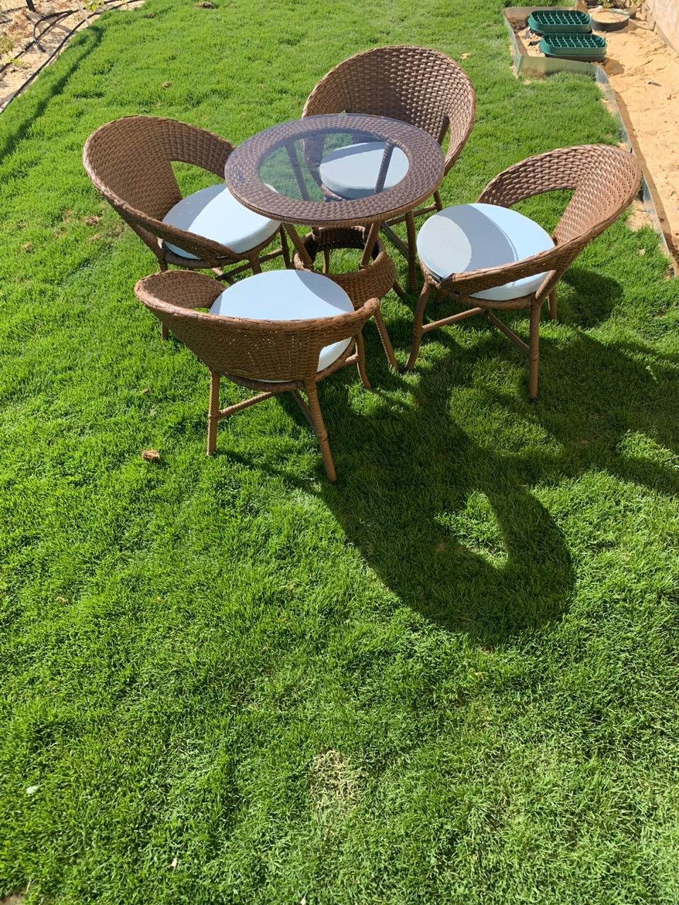 WhatsApp Image 2026-03-01 at 2.50.45 PM