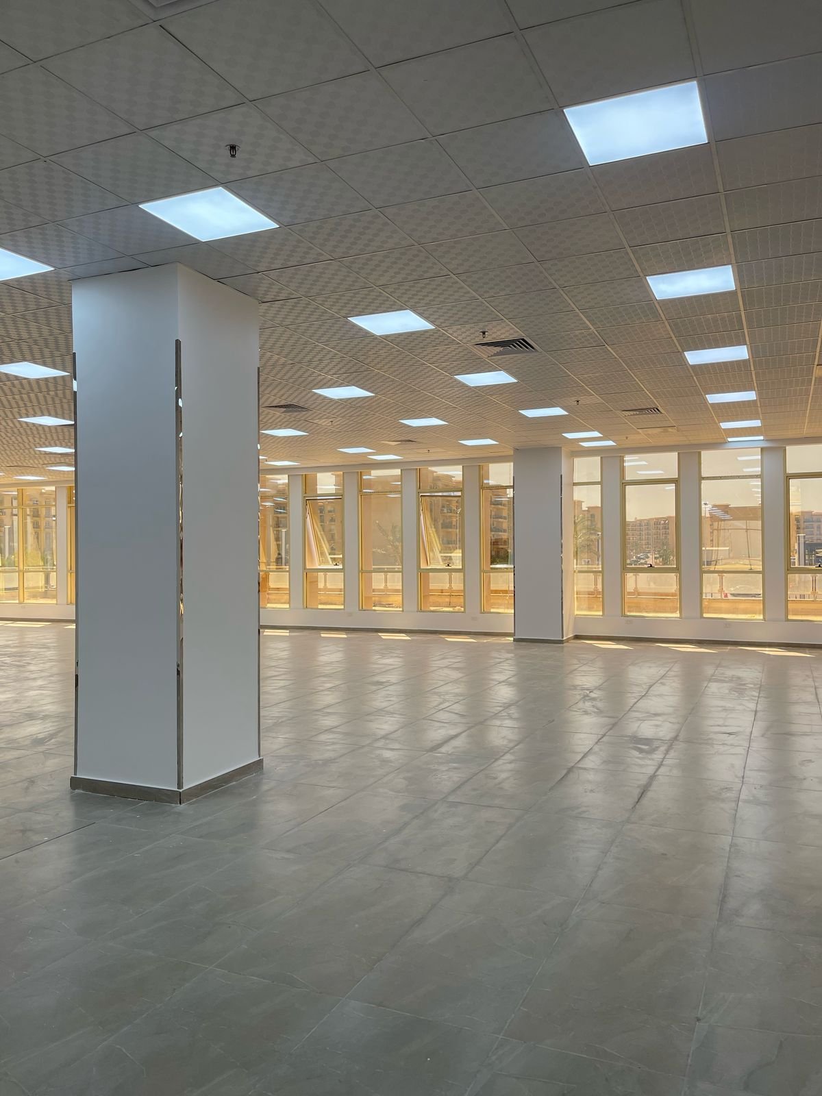 WhatsApp Image 2026-03-14 at 10.31.45 PM (1)