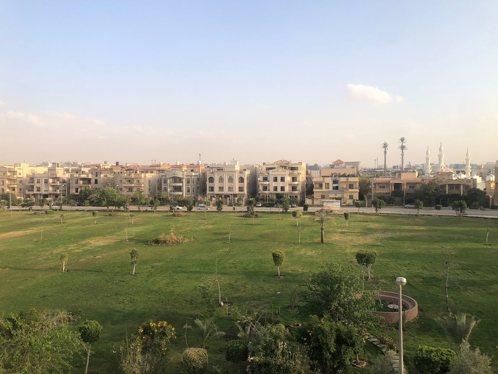 new cairo online (5)