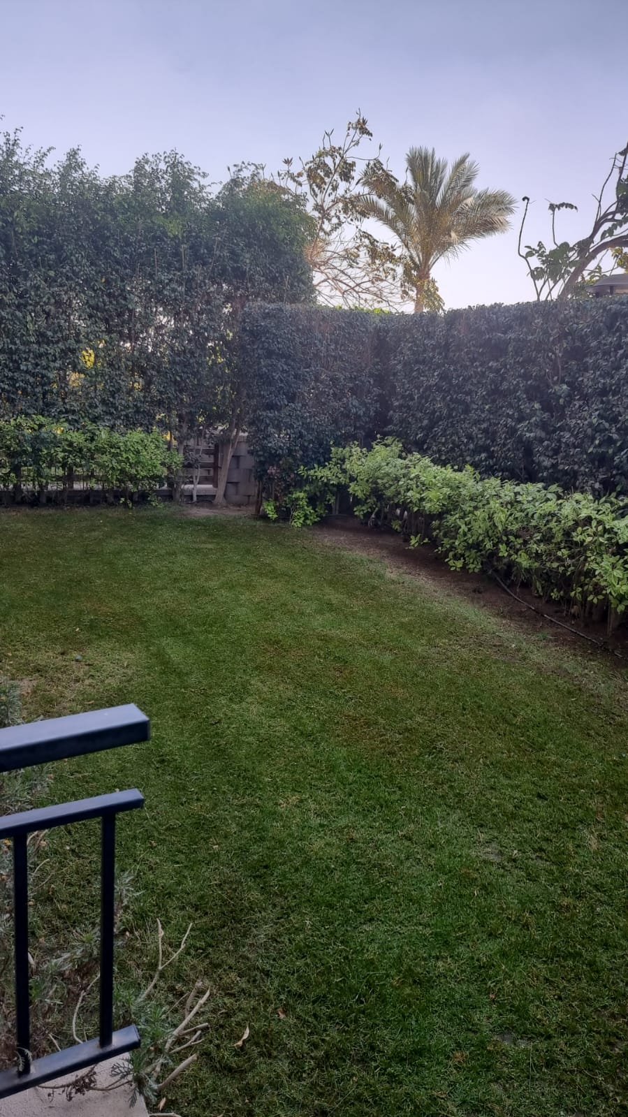 Garden Apartment for Rent in Cairo Festival City