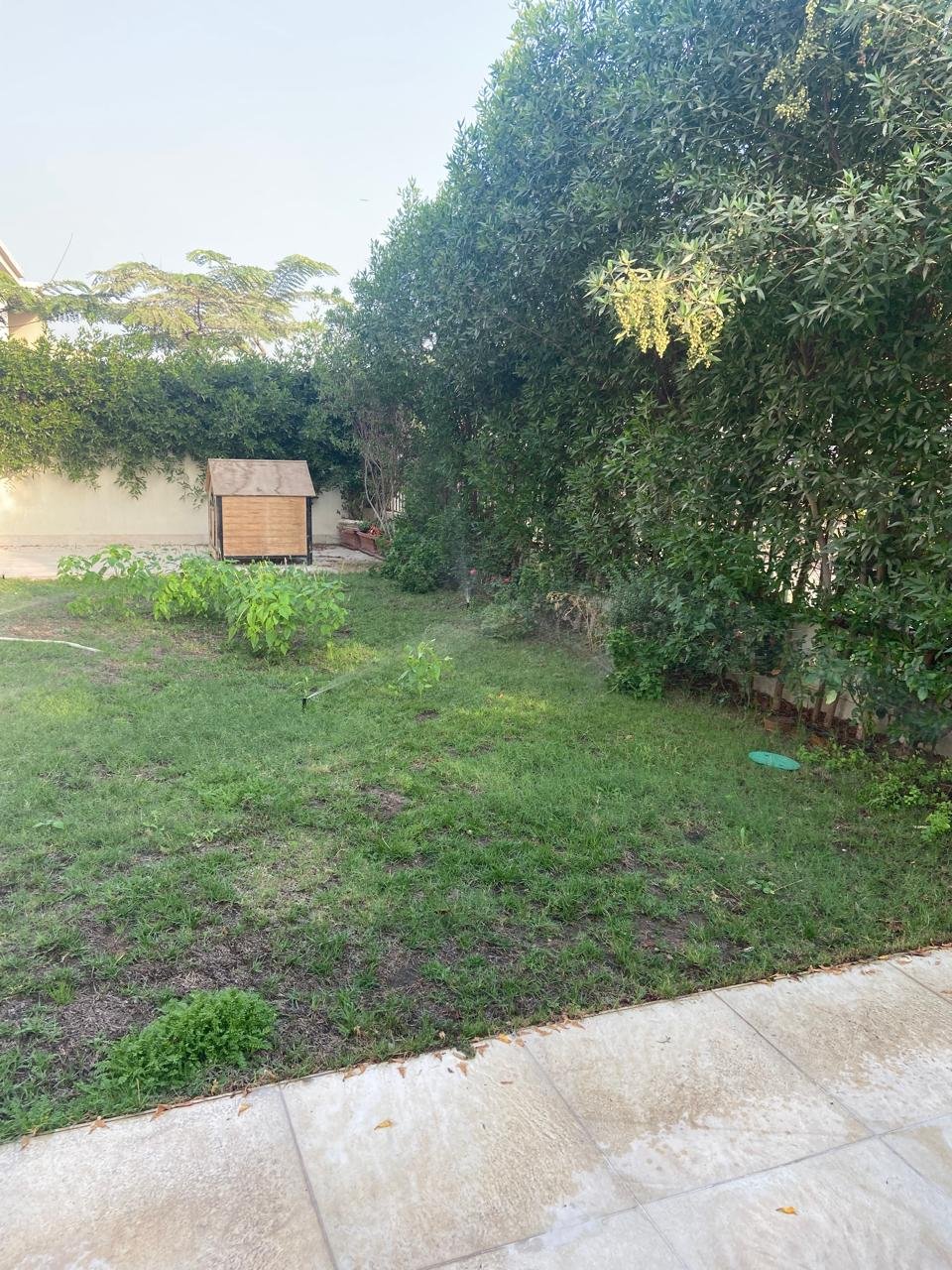 Spacious Villa for Rent in CFC Oriana 3 Compound