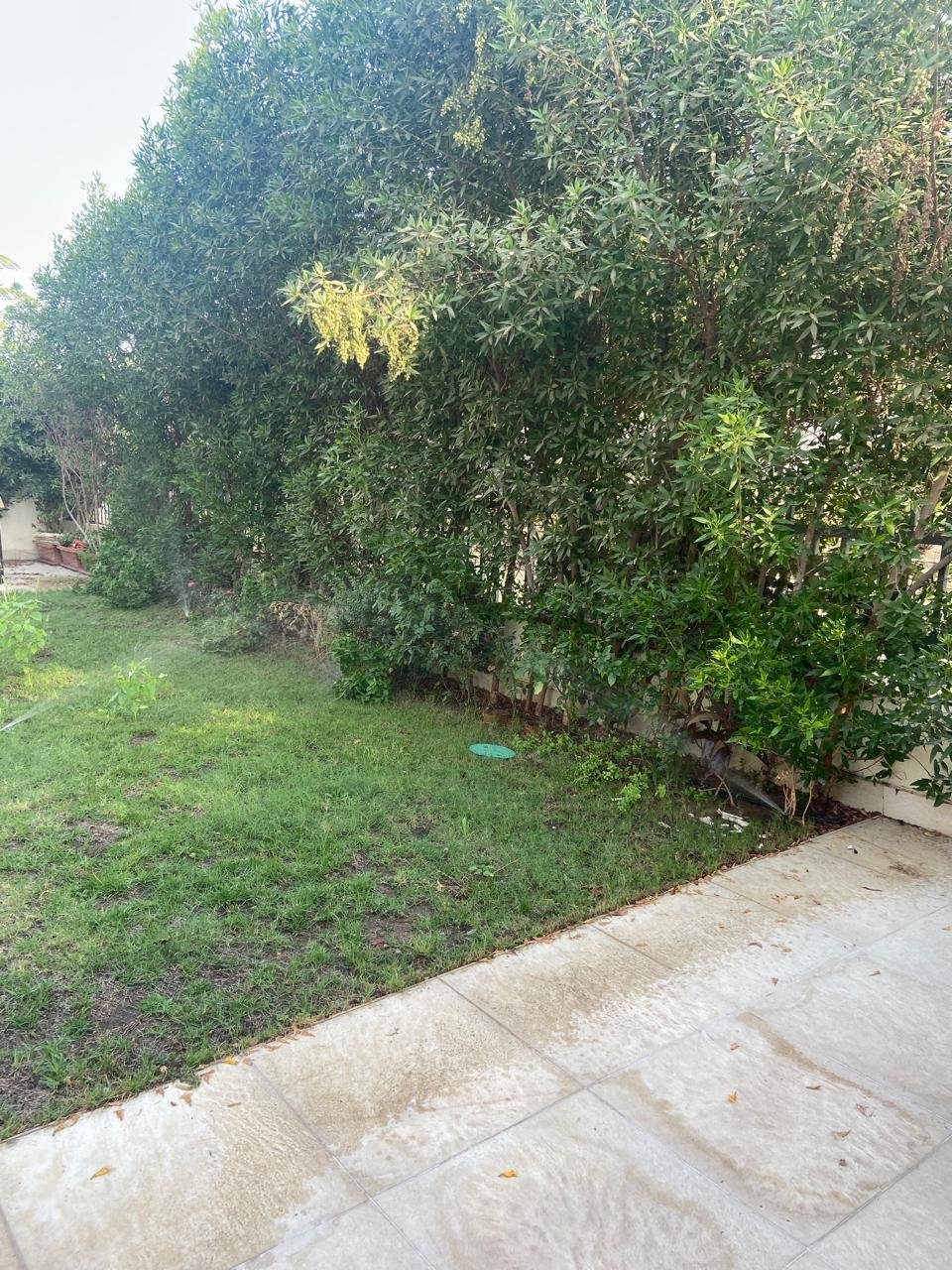 Spacious Villa for Rent in CFC Oriana 3 Compound