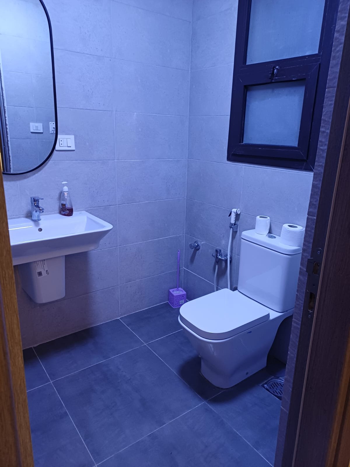 Furnished Apartment with Spacious Rooftop for Rent in Eastown